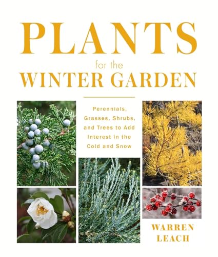 Plants for the Winter Garden: Perennials, Grasses...